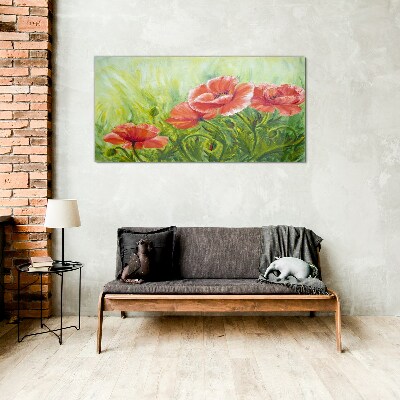 Tableau sur verre Fleurs dans une prairie au printemps