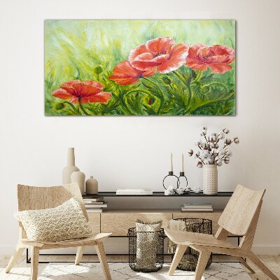 Tableau sur verre Fleurs dans une prairie au printemps