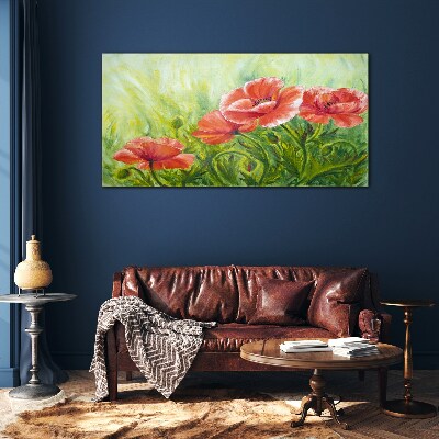 Tableau sur verre Fleurs dans une prairie au printemps