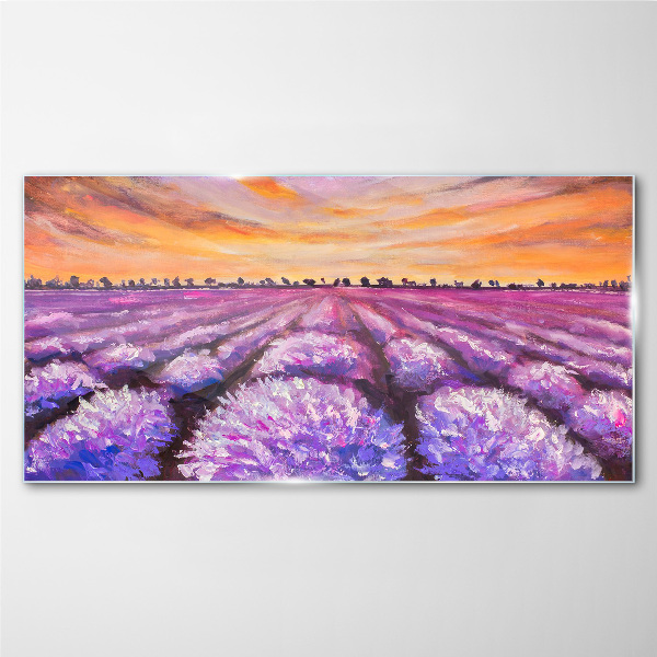 Tableau en verre Champs de lavande violette au coucher du soleil