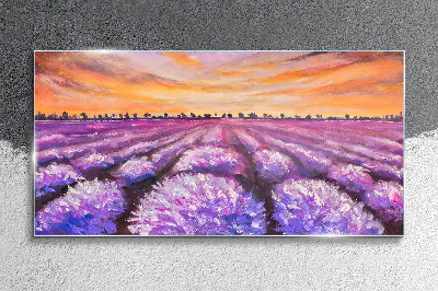 Tableau en verre Champs de lavande violette au coucher du soleil