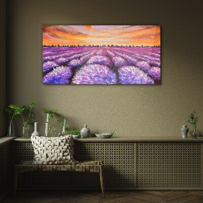 Tableau en verre Champs de lavande violette au coucher du soleil