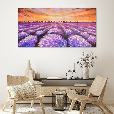 Tableau en verre Champs de lavande violette au coucher du soleil