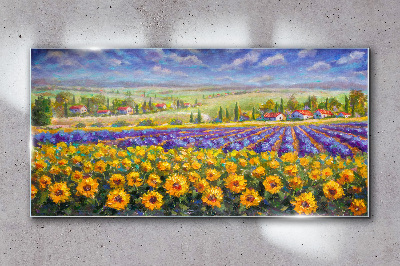 Tableau sur verre Un paysage floral au soleil