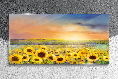 Tableau imprimé sur verre Champ de fleurs ensoleillé