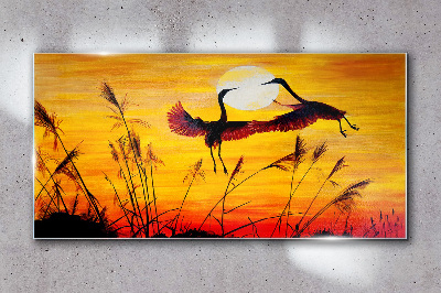 Tableau sur verre Grues dansantes au coucher du soleil