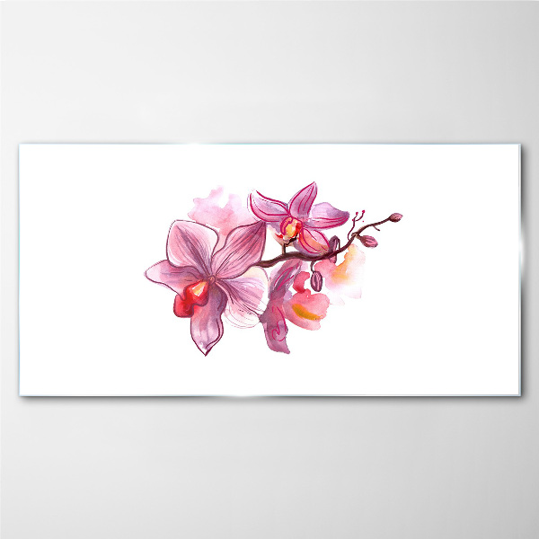 Tableau photo sur verre Orchidées roses sur fond blanc