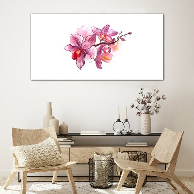 Tableau photo sur verre Orchidées roses sur fond blanc