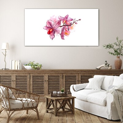 Tableau photo sur verre Orchidées roses sur fond blanc