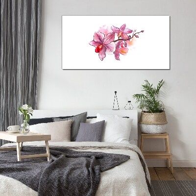 Tableau photo sur verre Orchidées roses sur fond blanc