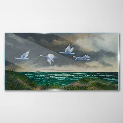 Tableau imprimé sur verre Vol de cygnes au dessus de la mer