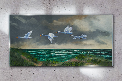 Tableau imprimé sur verre Vol de cygnes au dessus de la mer
