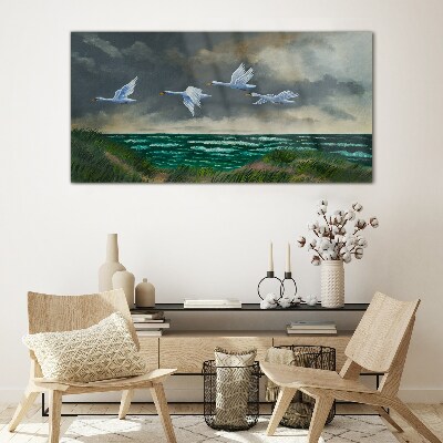 Tableau imprimé sur verre Vol de cygnes au dessus de la mer