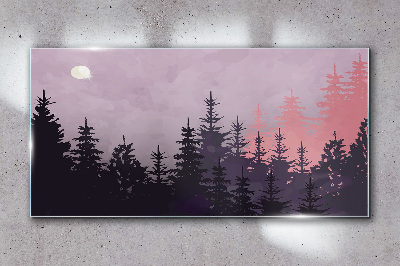 Tableau en verre Coucher de soleil dans la forêt