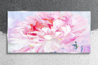 Tableau verre imprimé Pivoine rose à l'éclat délicat