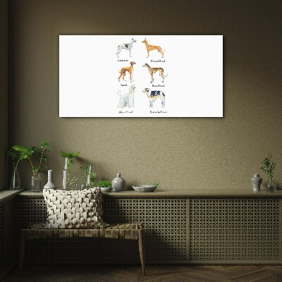 Tableau imprimé sur verre Races de chiens