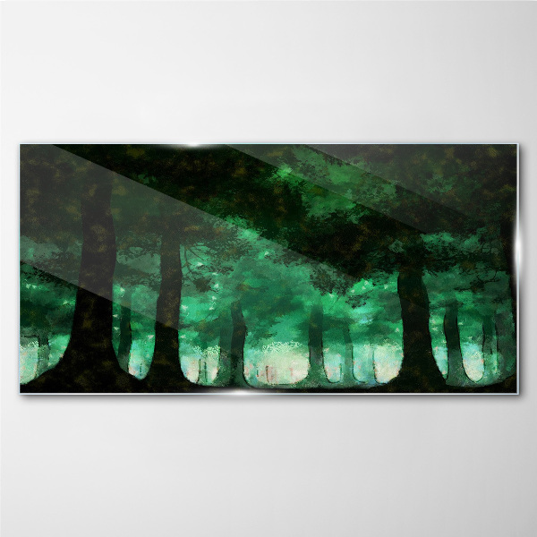 Tableau photo sur verre Forêt verte dans la lumière brumeuse