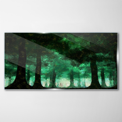 Tableau photo sur verre Forêt verte dans la lumière brumeuse