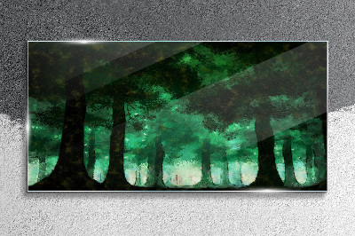 Tableau photo sur verre Forêt verte dans la lumière brumeuse