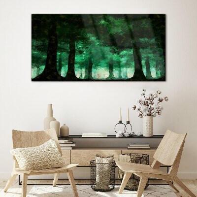 Tableau photo sur verre Forêt verte dans la lumière brumeuse