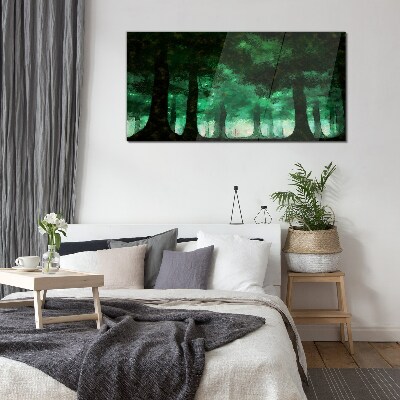 Tableau photo sur verre Forêt verte dans la lumière brumeuse