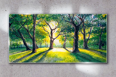 Tableau sur verre Rayons dorés dans le bosquet de la forêt