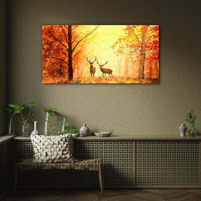 Tableau verre imprimé Rencontre automnale des cerfs