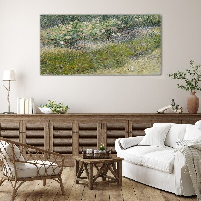 Tableau photo sur verre Fleurs dans l'herbe