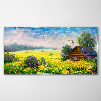 Tableau sur verre Paysages d'été avec un chalet dans le champ