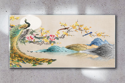 Tableau en verre Paon dans un paysage fleuri