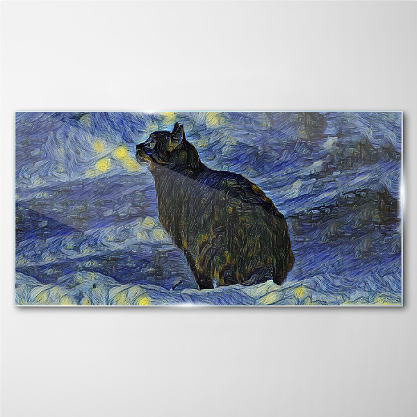 Tableau imprimé sur verre Chat dans le ciel nocturne