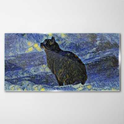 Tableau imprimé sur verre Chat dans le ciel nocturne