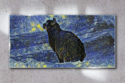 Tableau imprimé sur verre Chat dans le ciel nocturne