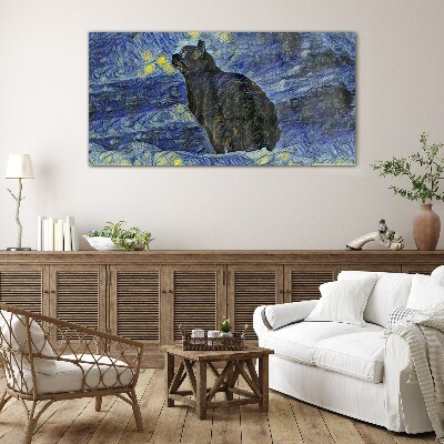 Tableau imprimé sur verre Chat dans le ciel nocturne