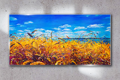 Tableau imprimé sur verre Champs dorés sous un ciel bleu