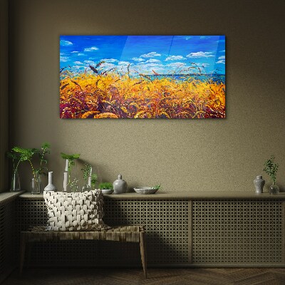 Tableau imprimé sur verre Champs dorés sous un ciel bleu