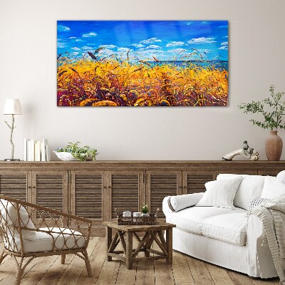 Tableau imprimé sur verre Champs dorés sous un ciel bleu