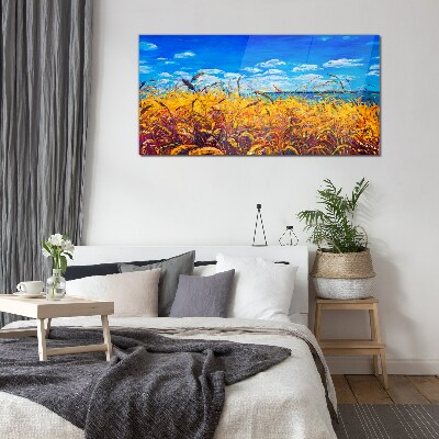 Tableau imprimé sur verre Champs dorés sous un ciel bleu