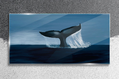 Tableau photo sur verre Une vague de baleine dans la mer