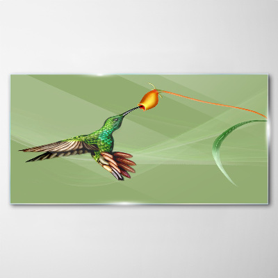 Tableau verre imprimé Colibri sur une fleur