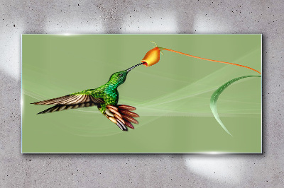 Tableau verre imprimé Colibri sur une fleur