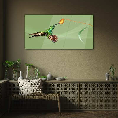 Tableau verre imprimé Colibri sur une fleur