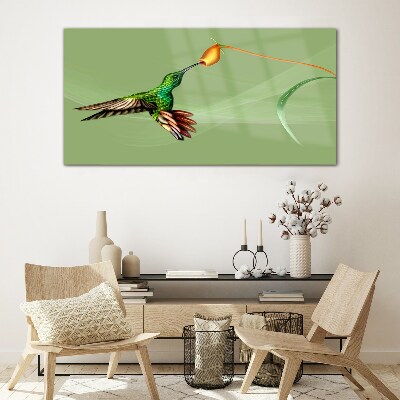 Tableau verre imprimé Colibri sur une fleur