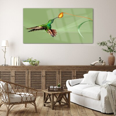 Tableau verre imprimé Colibri sur une fleur