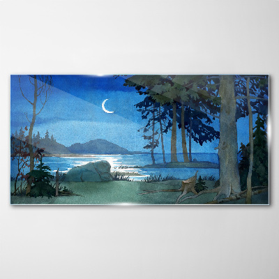 Tableau en verre Paysage nocturne au-dessus de l'eau