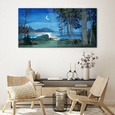 Tableau en verre Paysage nocturne au-dessus de l'eau