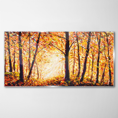 Tableau imprimé sur verre Automne doré dans la forêt