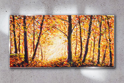 Tableau imprimé sur verre Automne doré dans la forêt