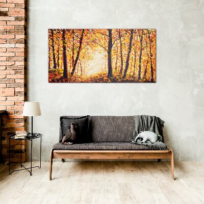 Tableau imprimé sur verre Automne doré dans la forêt