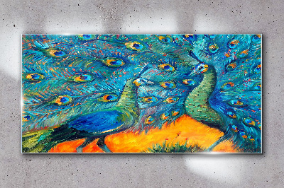 Tableau imprimé sur verre Paons dansants dans un spectacle coloré
